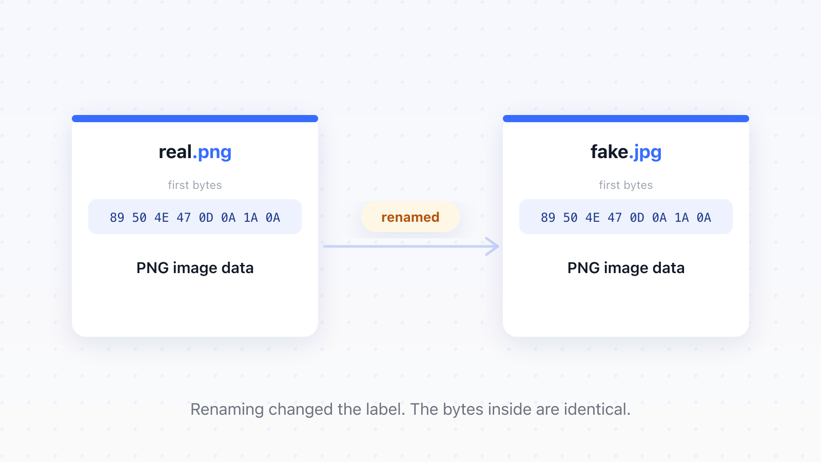 Two file cards side by side, one named real.png and one named fake.jpg, both showing the same PNG signature bytes inside, so renaming changed only the name